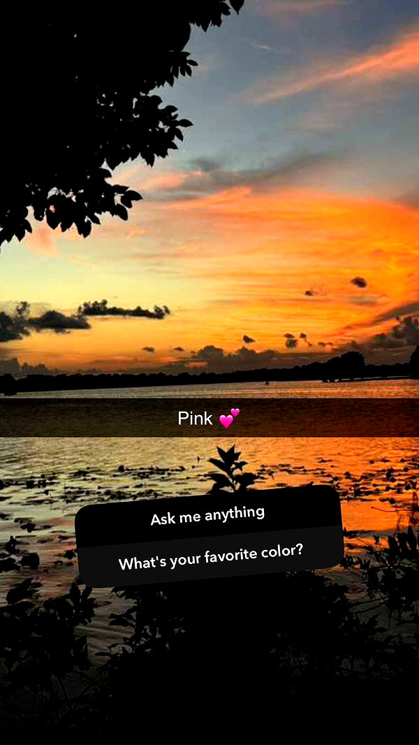 little.warren1 image ~ Altpins