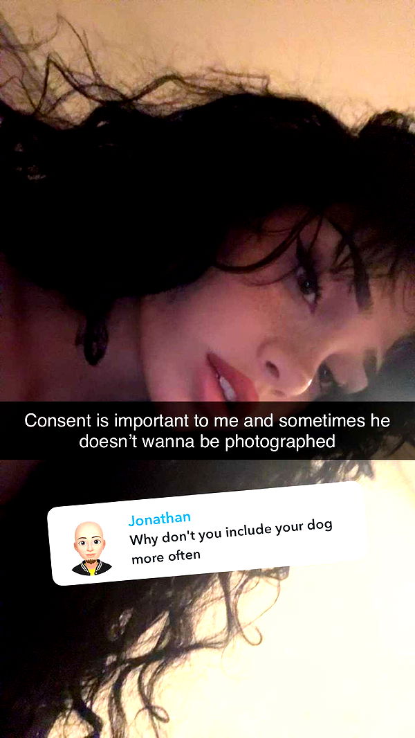 little.warren1 image ~ Altpins