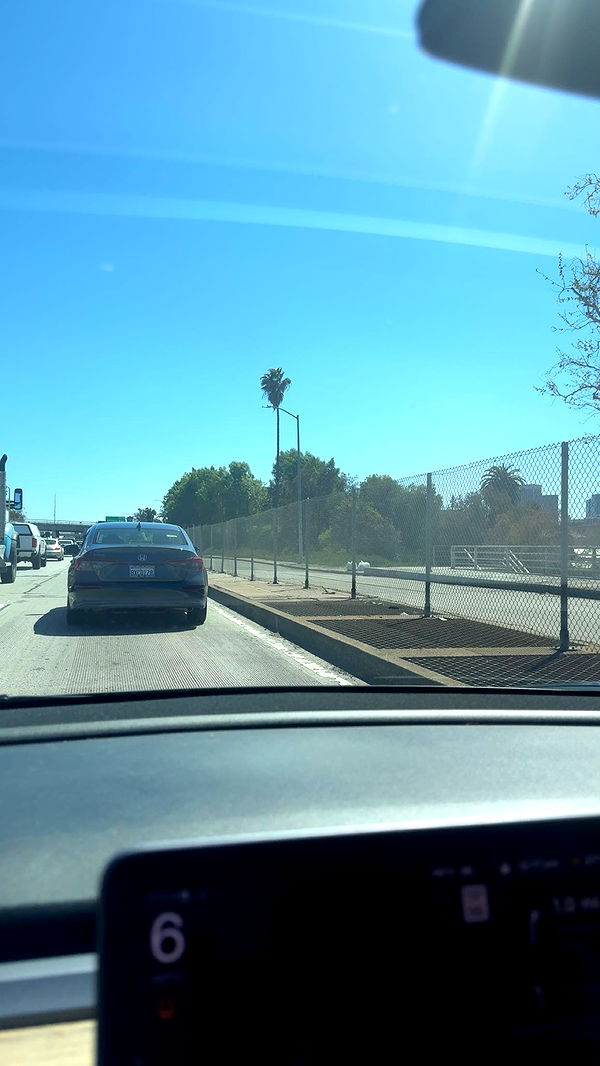 little.warren1 image ~ Altpins