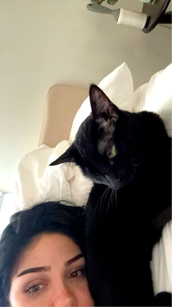 little.warren1 image ~ Altpins