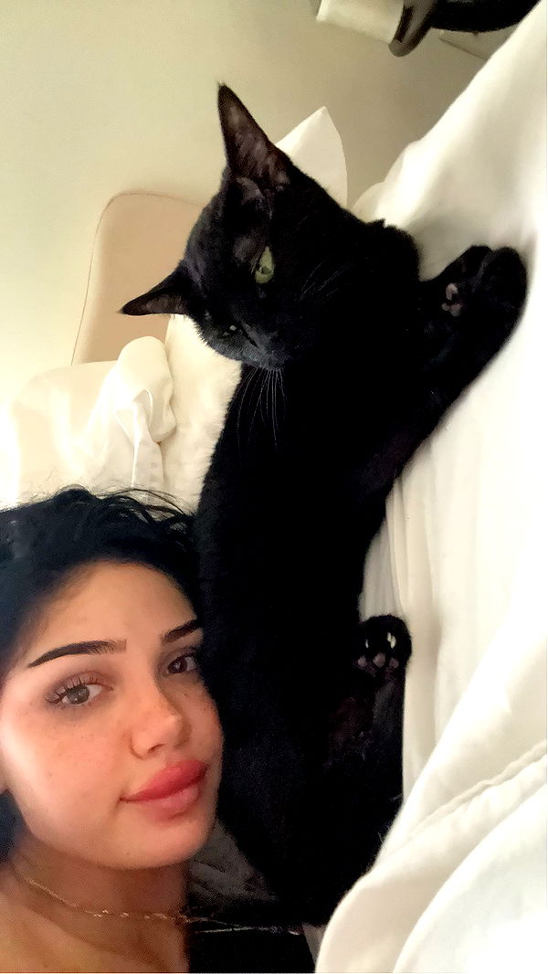 little.warren1 image ~ Altpins