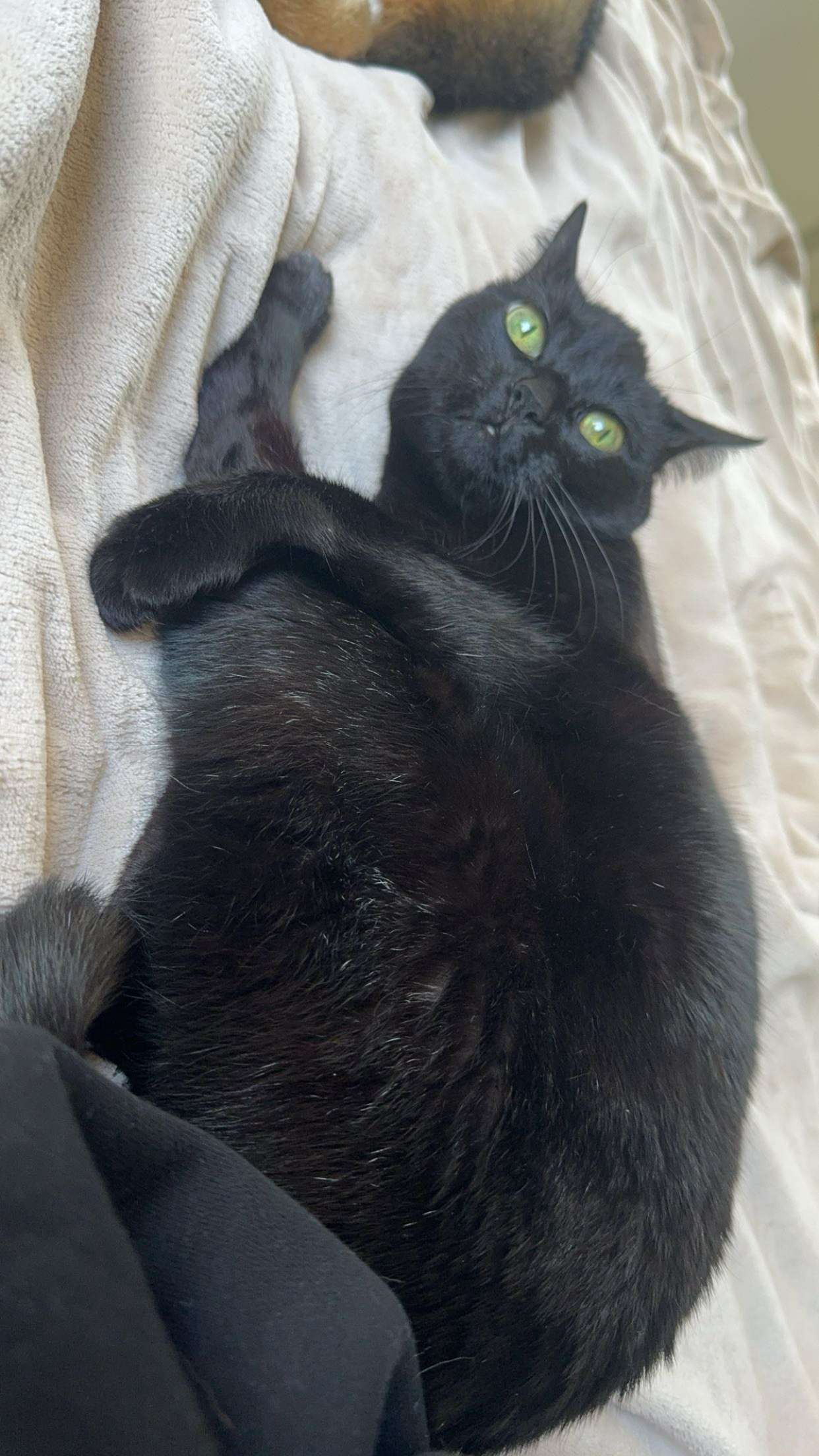 little.warren1 snapchat image archive image