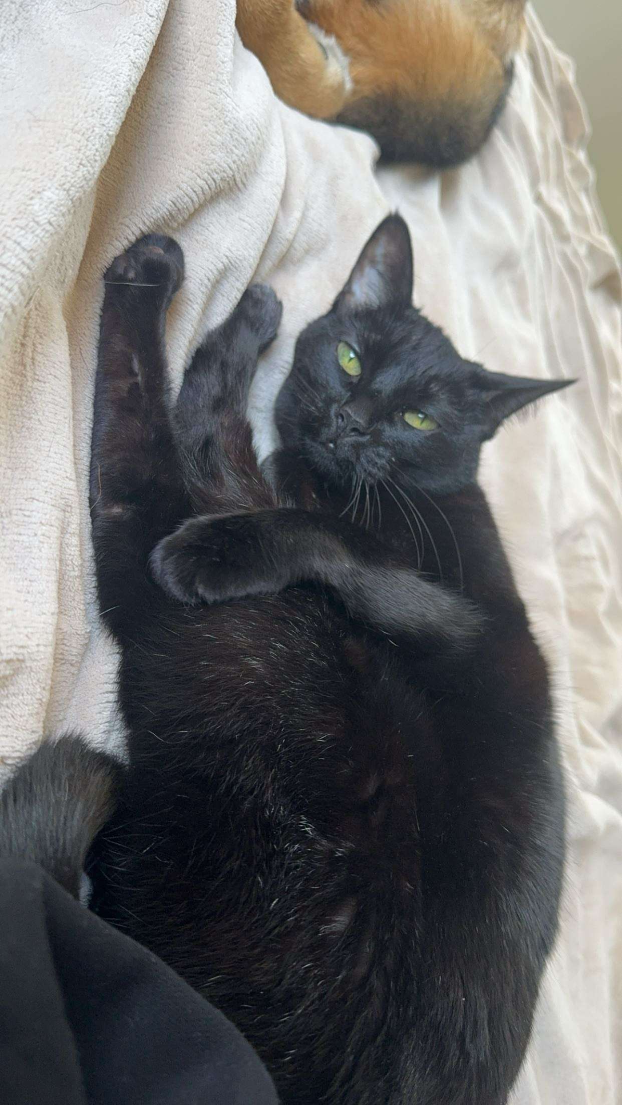 little.warren1 snapchat image archive image