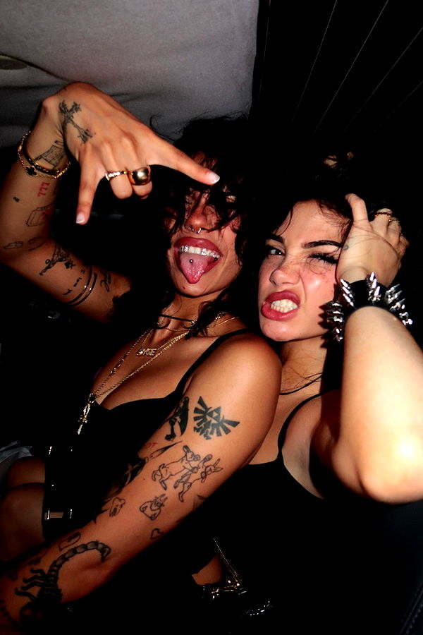 little.warren1 image ~ Altpins