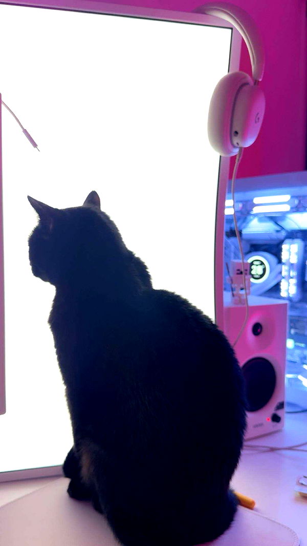 little.warren1 image ~ Altpins