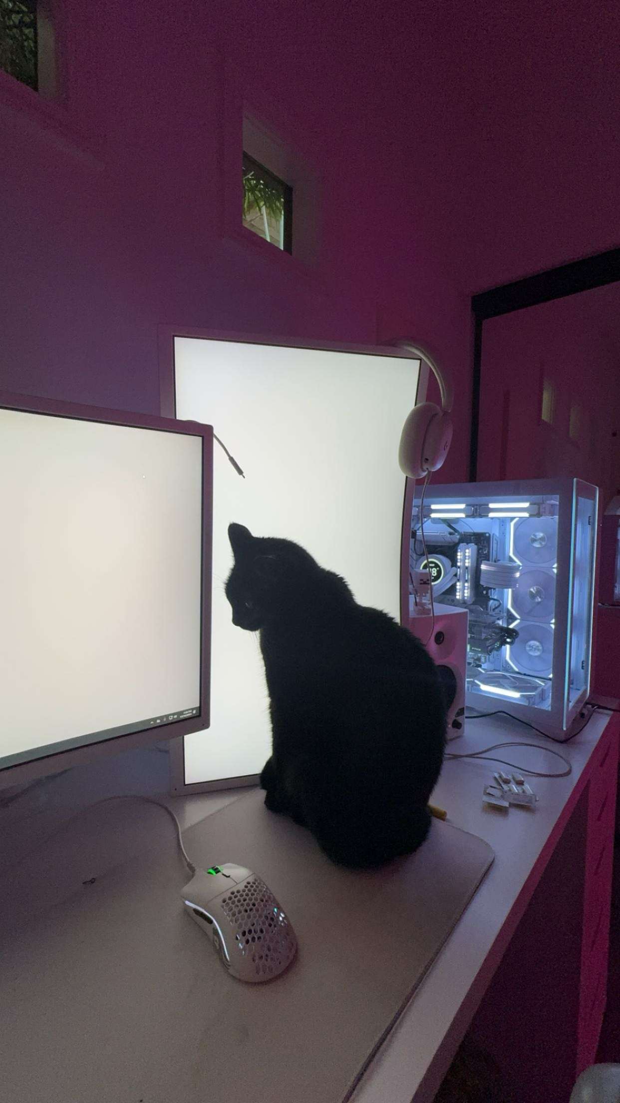 little.warren1 snapchat image archive image