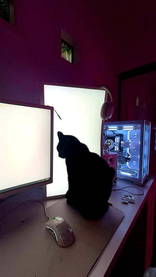 little.warren1 image ~ Altpins