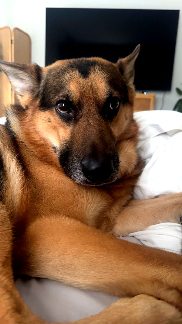 little.warren1 image ~ Altpins