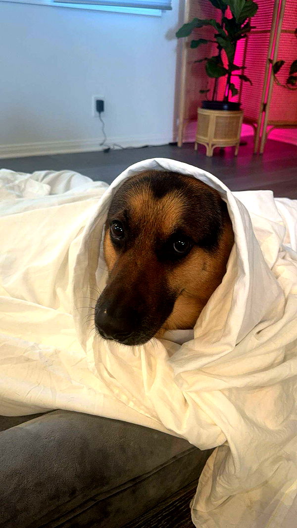 little.warren1 image ~ Altpins