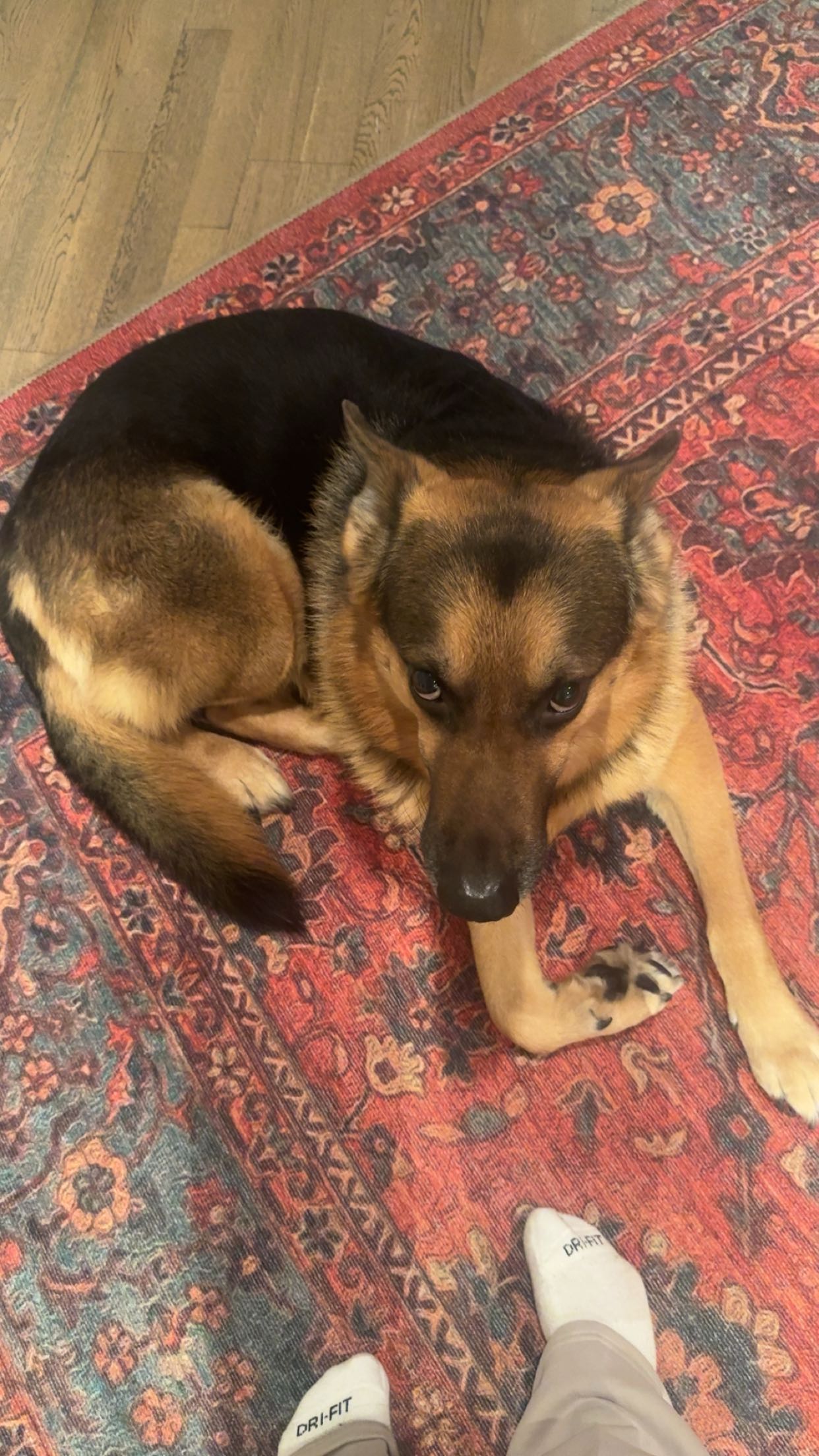 little.warren1 snapchat image archive image