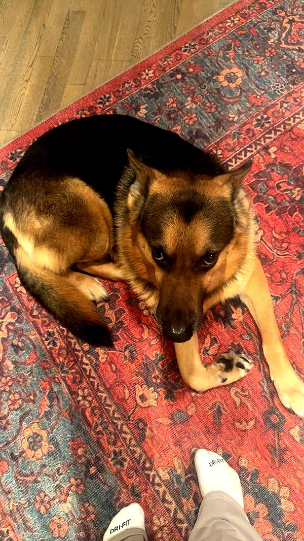 little.warren1 image ~ Altpins