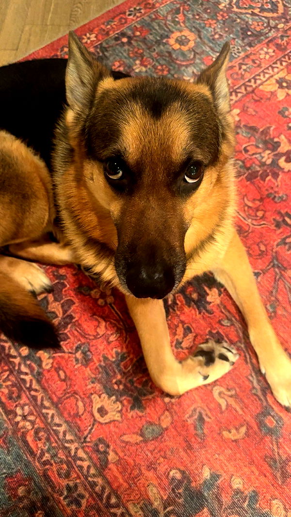 little.warren1 image ~ Altpins