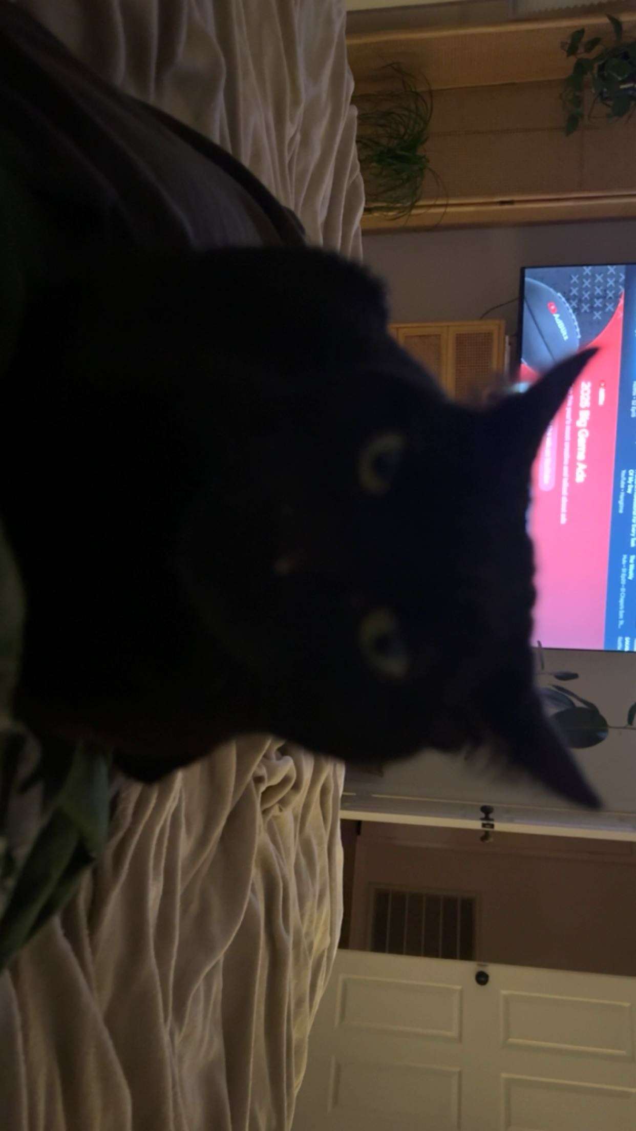 little.warren1 snapchat image archive image