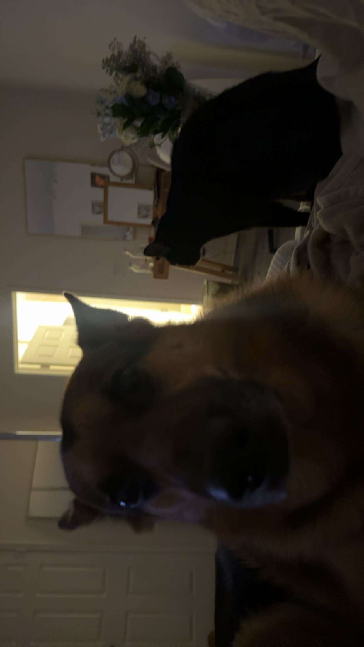 little.warren1 snapchat image archive image