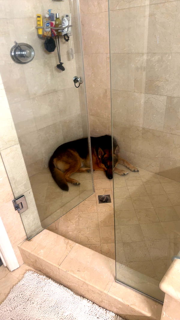 little.warren1 image ~ Altpins