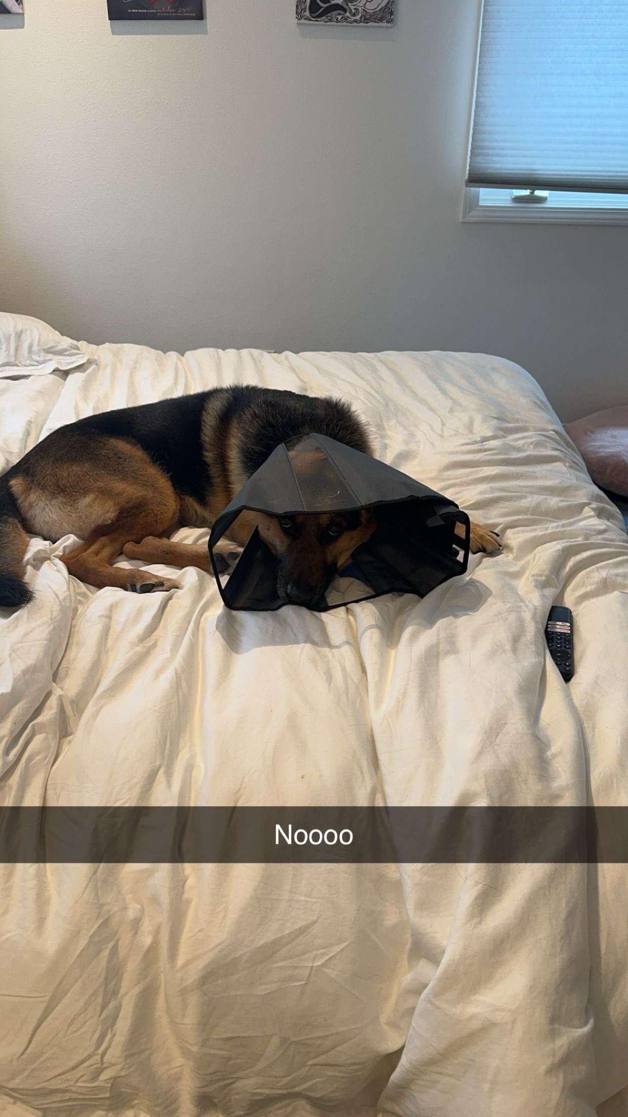 little.warren1 snapchat image archive image