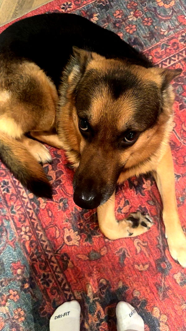 little.warren1 image ~ Altpins