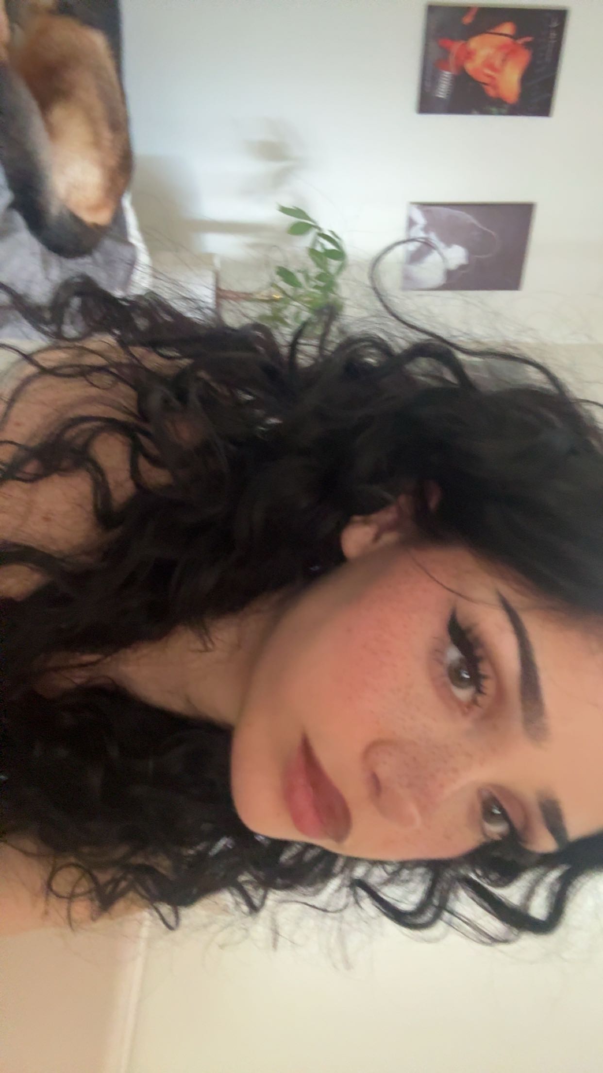 little.warren1 snapchat image archive image