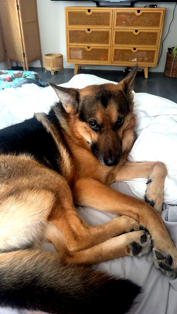 little.warren1 image ~ Altpins