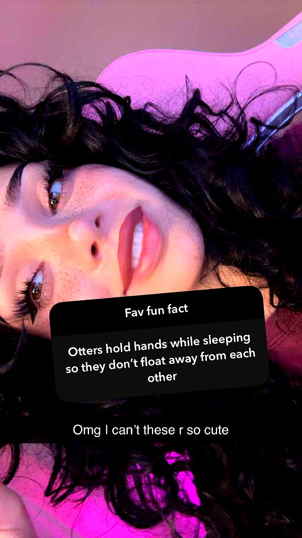 little.warren1 image ~ Altpins