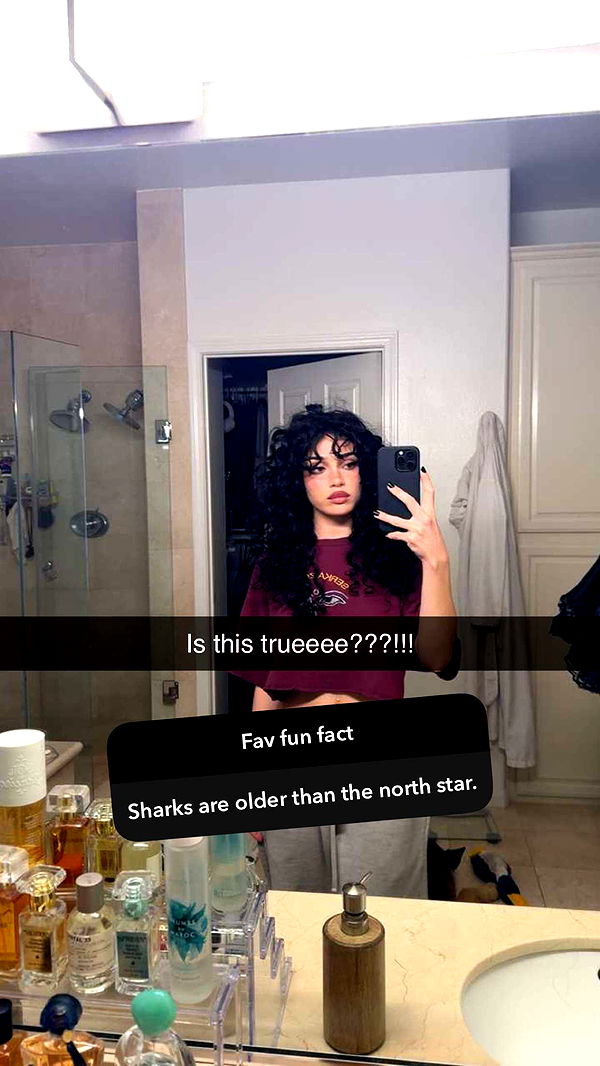 little.warren1 image ~ Altpins