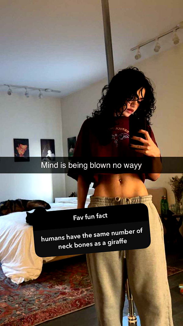 little.warren1 image ~ Altpins