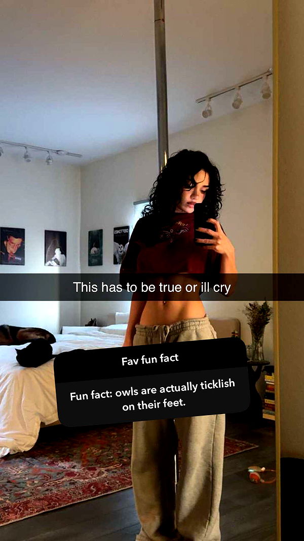 little.warren1 image ~ Altpins