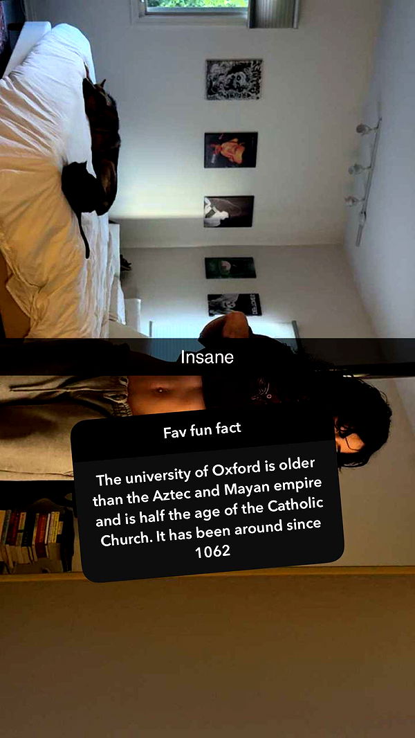 little.warren1 image ~ Altpins