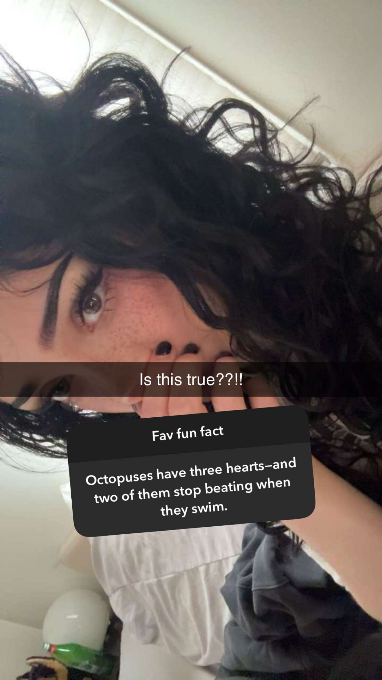 little.warren1 snapchat image archive image