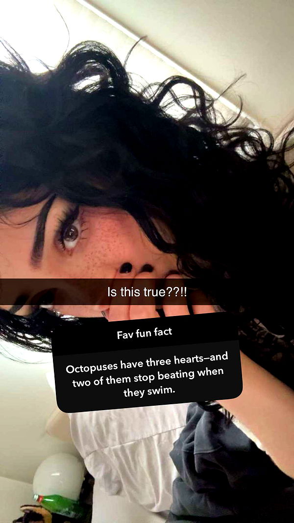 little.warren1 image ~ Altpins