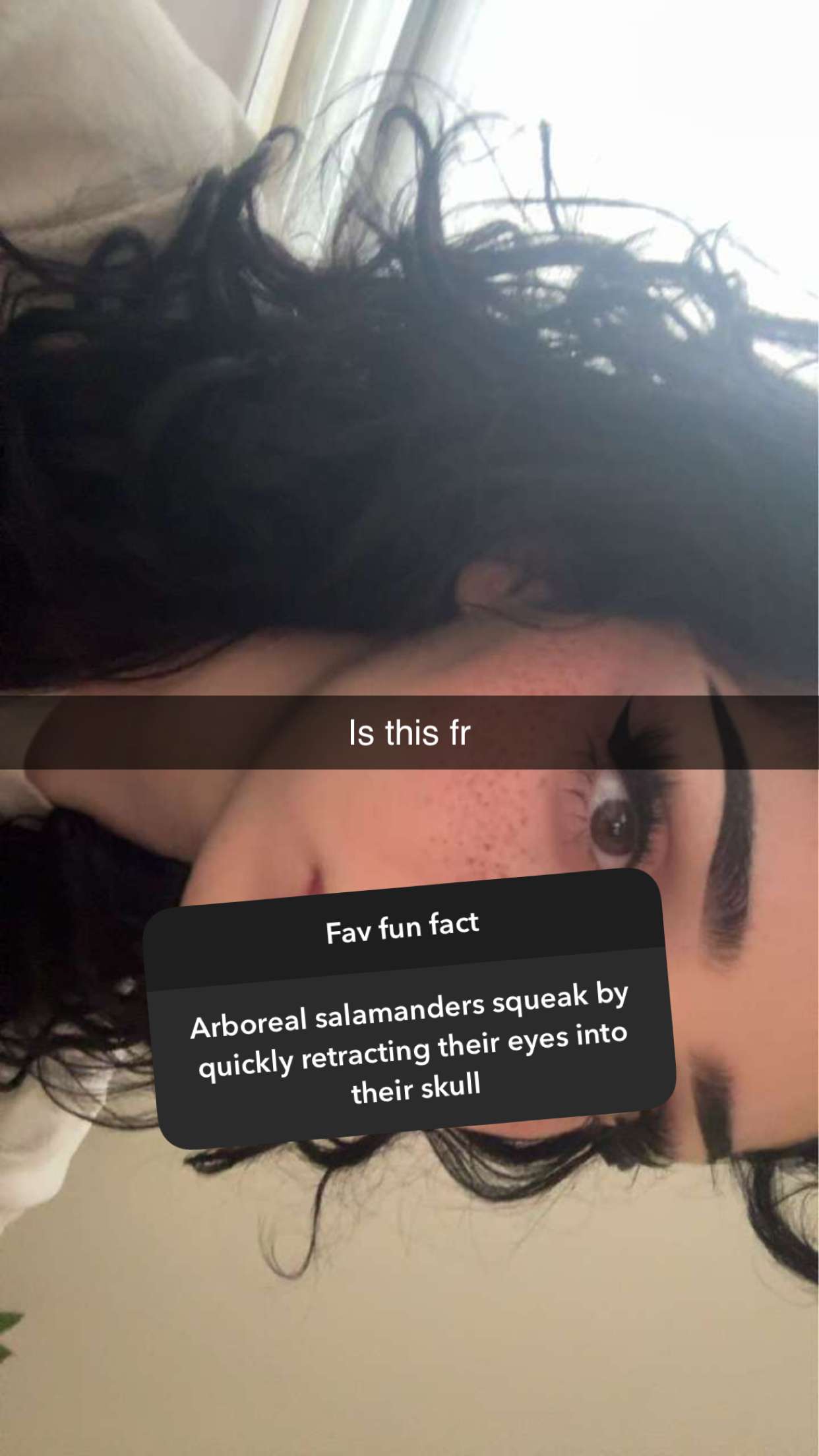 little.warren1 snapchat image archive image