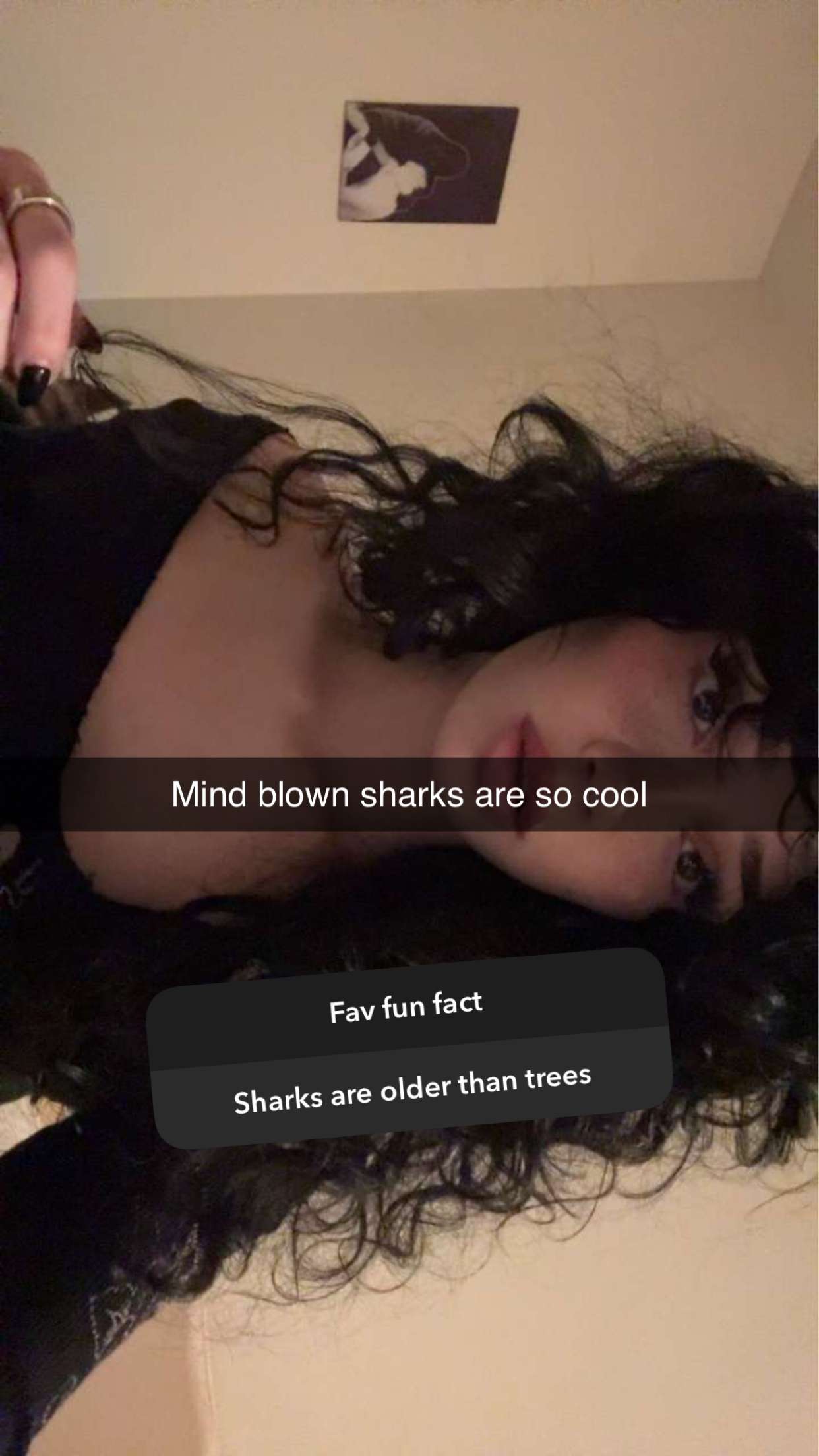 little.warren1 snapchat image archive image