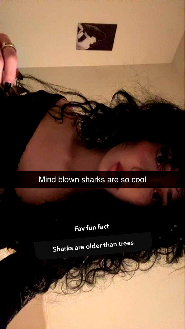 little.warren1 image ~ Altpins