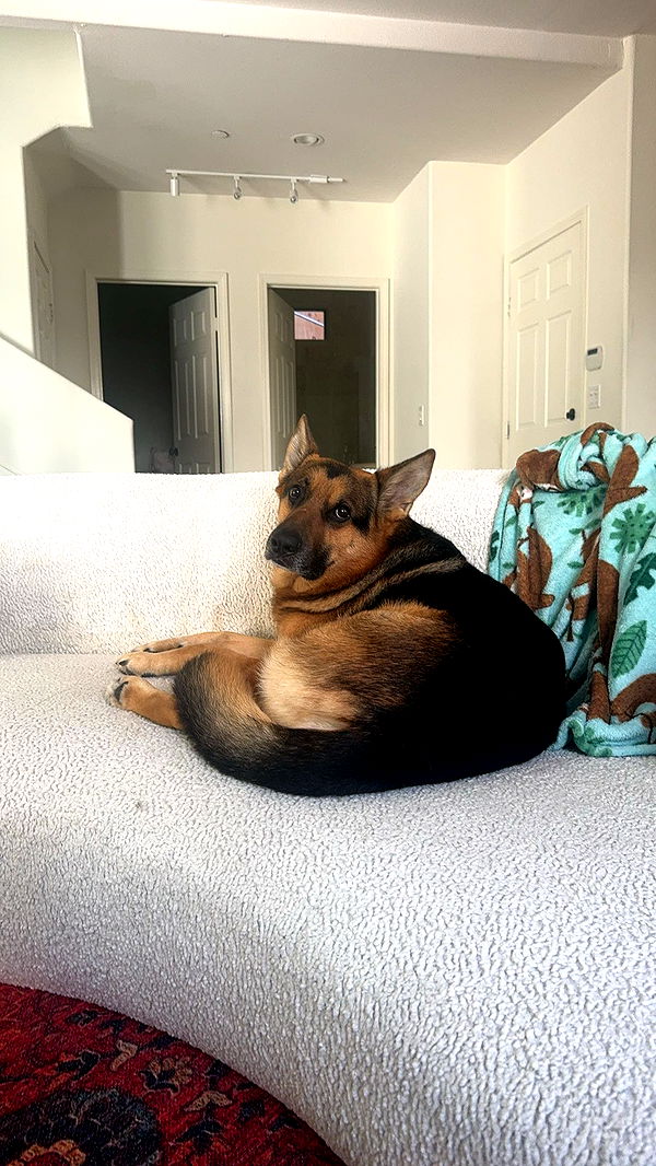 little.warren1 image ~ Altpins