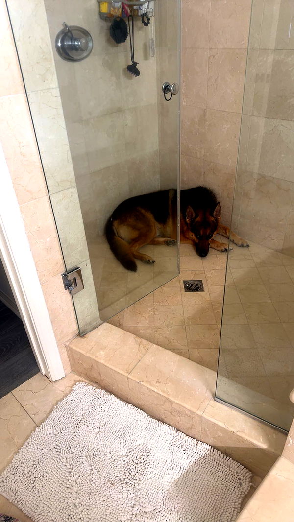 little.warren1 image ~ Altpins