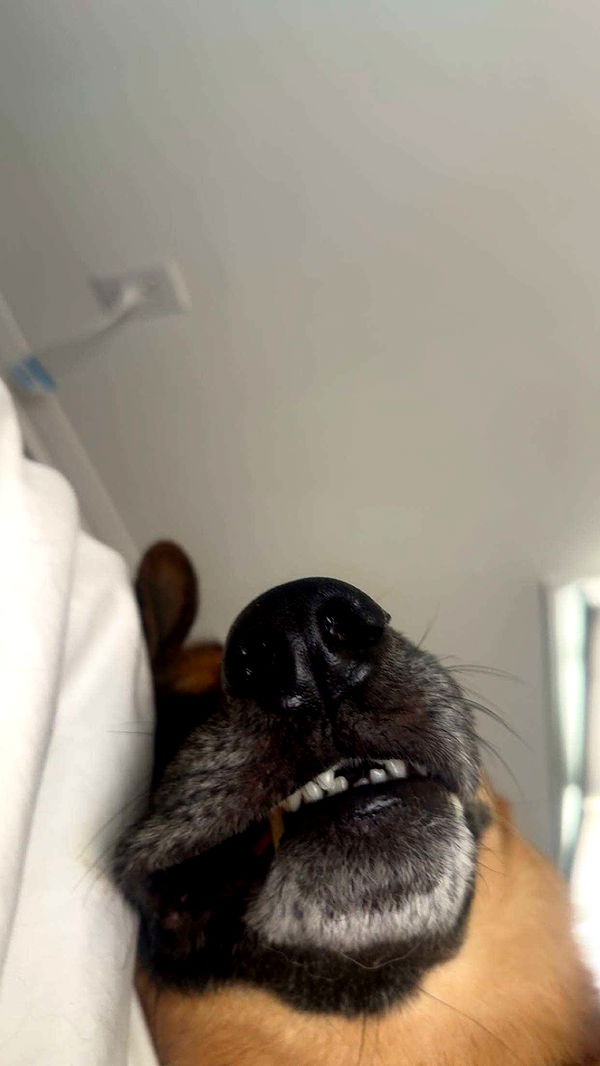 little.warren1 image ~ Altpins