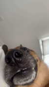 little.warren1 Altpins Profile Picture