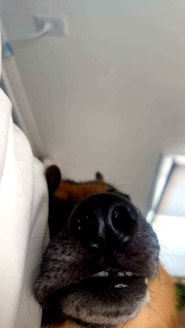 little.warren1 image ~ Altpins