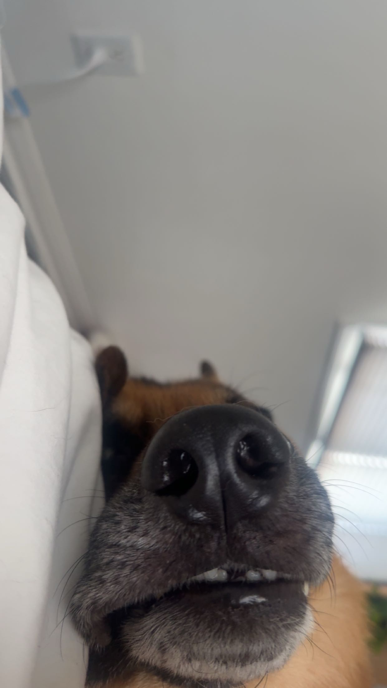 little.warren1 snapchat image archive image