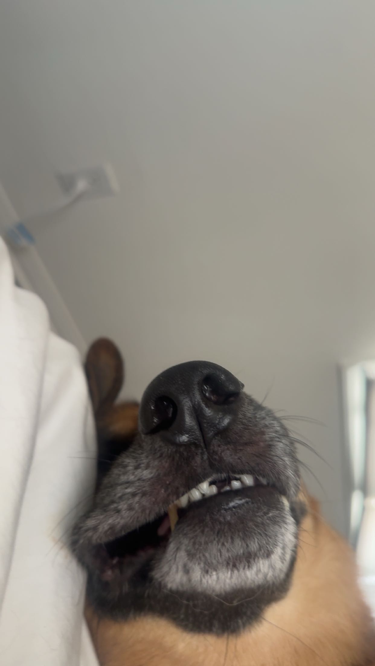 little.warren1 snapchat image archive image