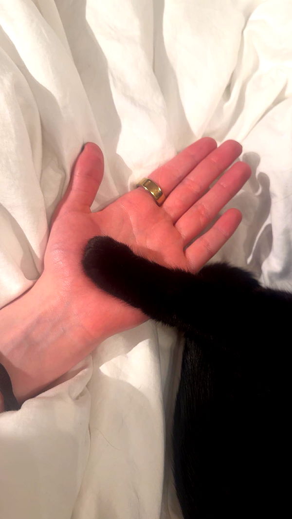 little.warren1 image ~ Altpins