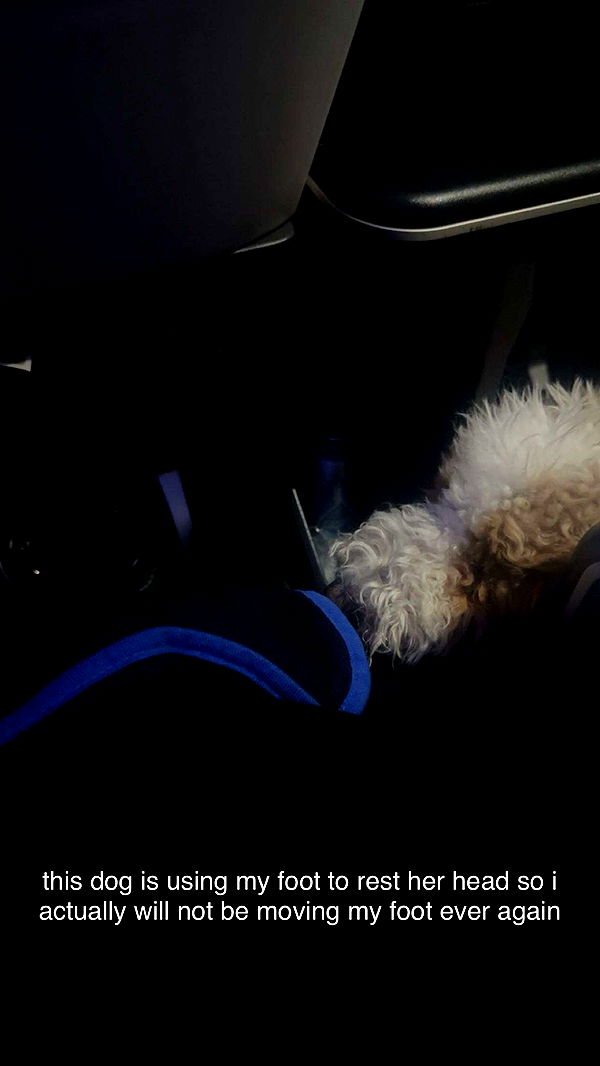 little.warren1 image ~ Altpins