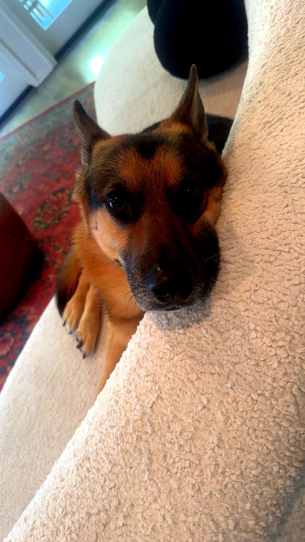 little.warren1 image ~ Altpins