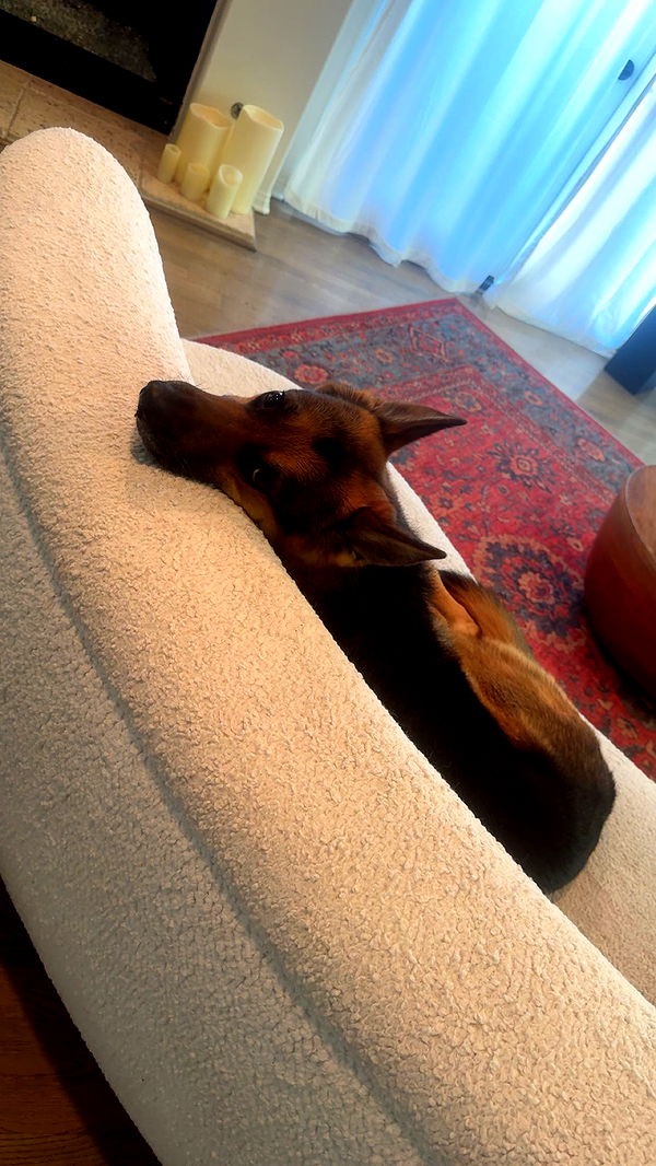 little.warren1 image ~ Altpins