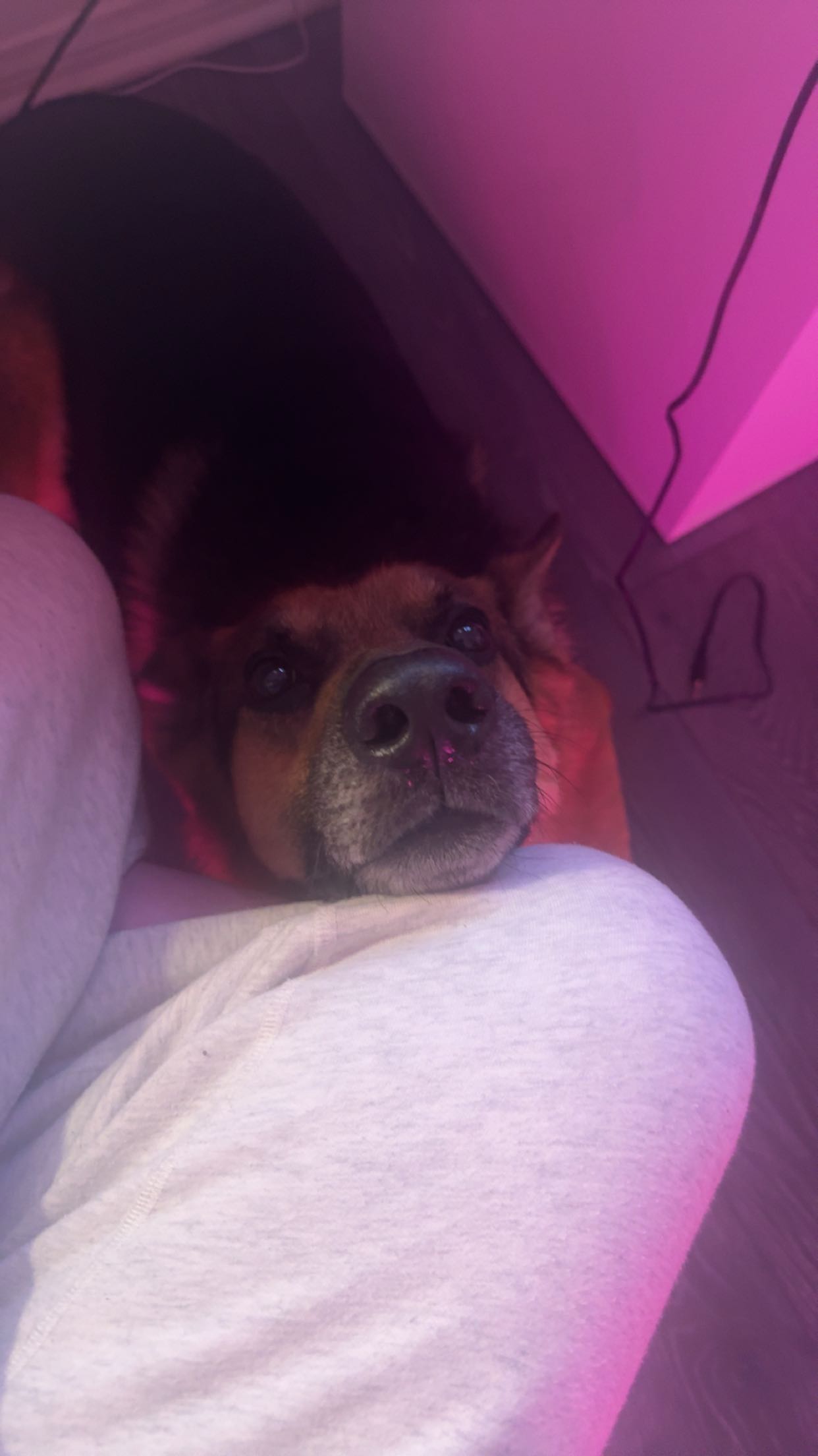 little.warren1 snapchat image archive image