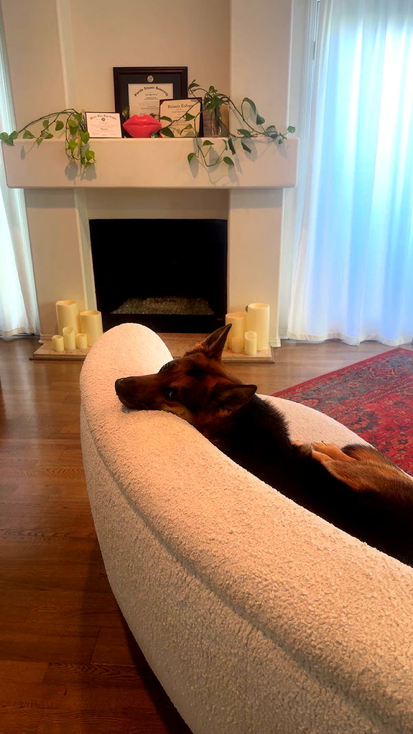 little.warren1 image ~ Altpins