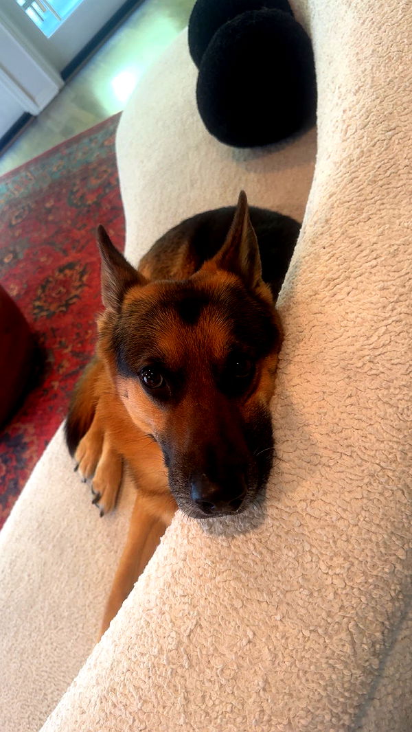 little.warren1 image ~ Altpins