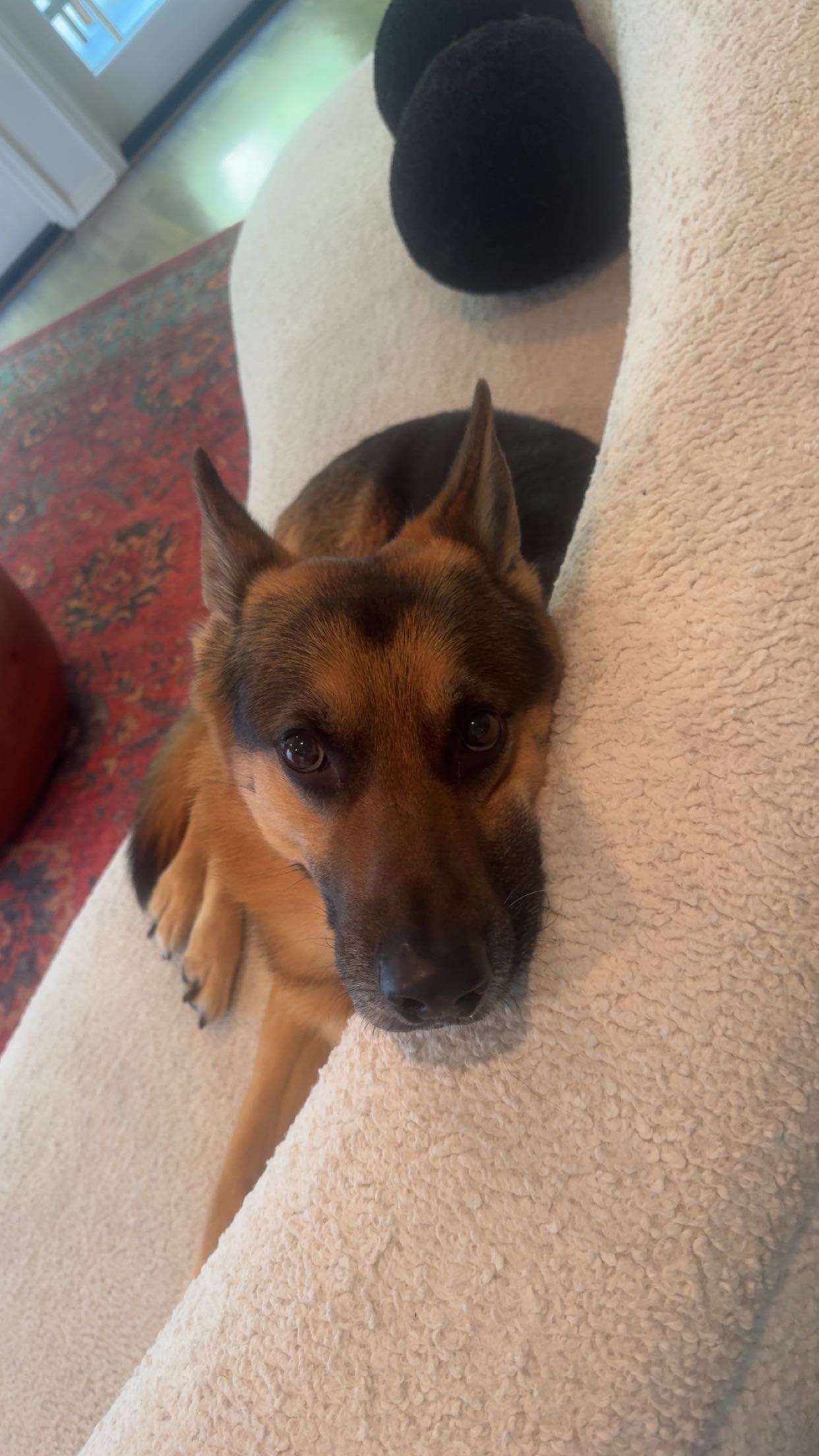 little.warren1 snapchat image archive image