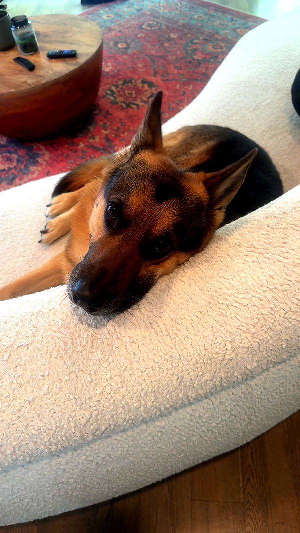 little.warren1 image ~ Altpins