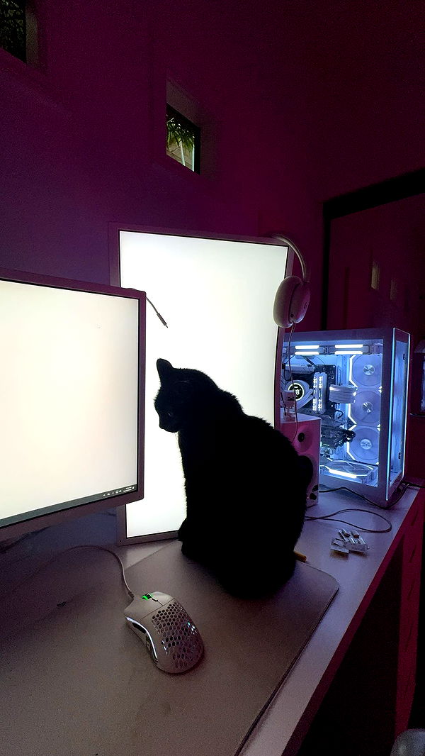 little.warren1 image ~ Altpins